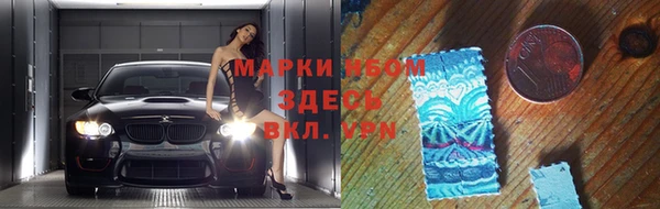 гашик Алексин