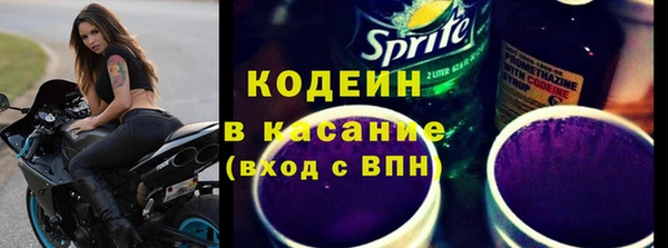 гашик Алексин
