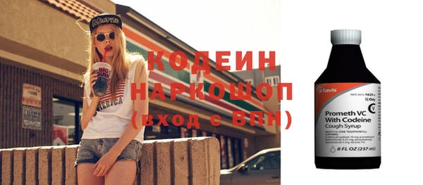 гашик Алексин