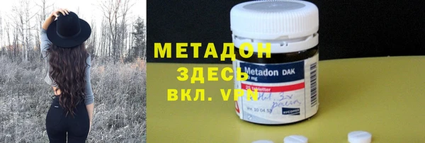 гашик Алексин