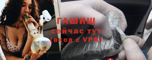 гашик Алексин