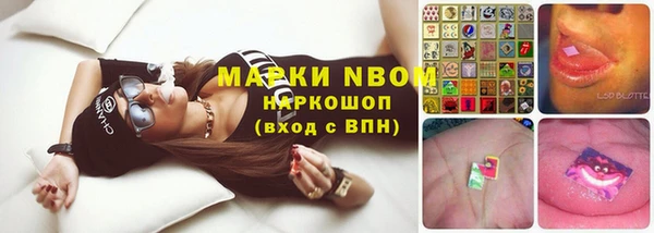 гашик Алексин