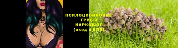 мяу мяу кристалл Магас