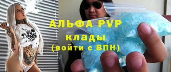 гашик Алексин