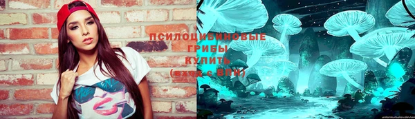 гашик Алексин